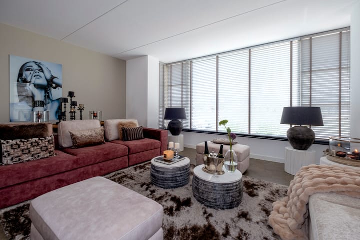 Photo 10 of Meerkoet 3