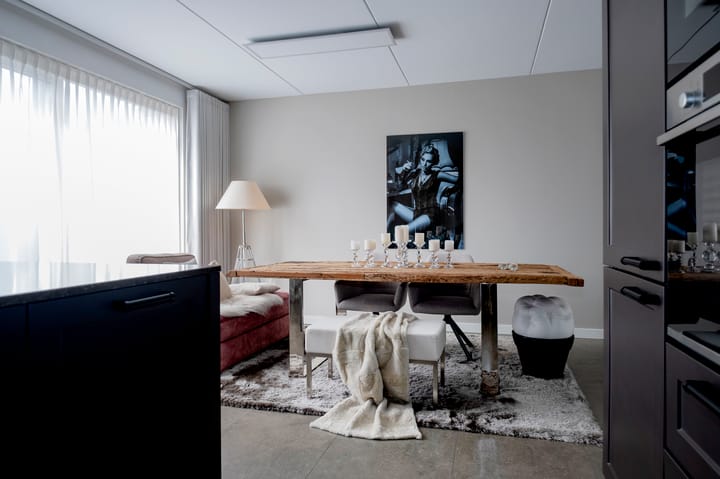 Photo 19 of Meerkoet 3