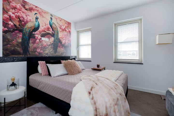 Photo 29 of Meerkoet 3