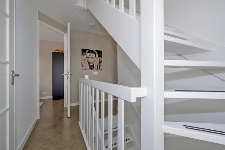 Photo 40 of Meerkoet 3