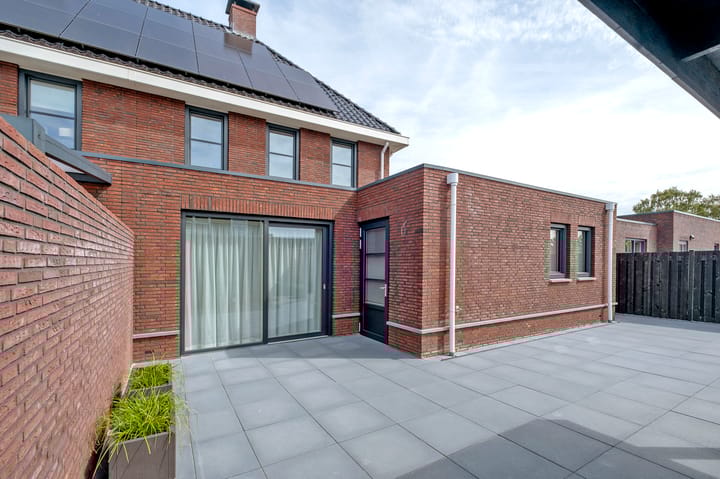 Photo 45 of Meerkoet 3