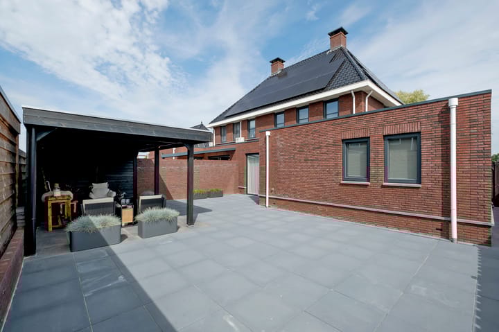 Photo 46 of Meerkoet 3