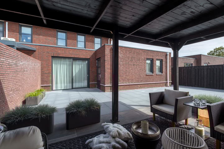 Photo 47 of Meerkoet 3