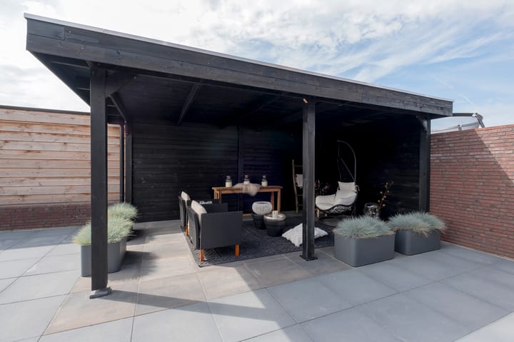 Photo 48 of Meerkoet 3