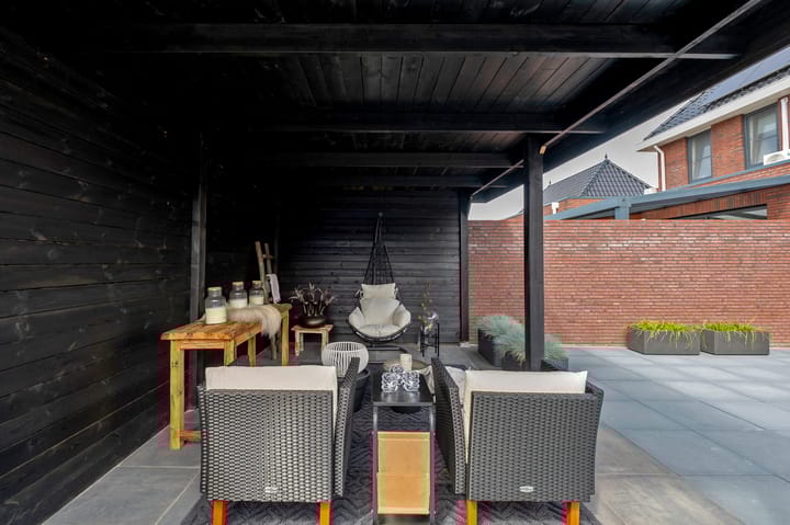 Photo 50 of Meerkoet 3