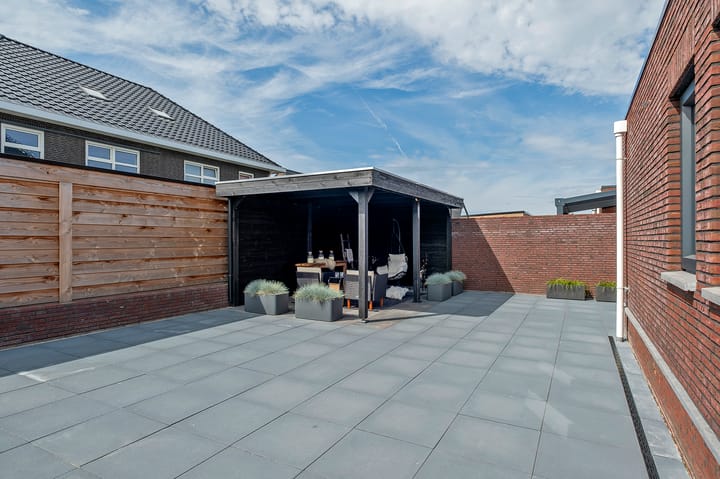 Photo 51 of Meerkoet 3