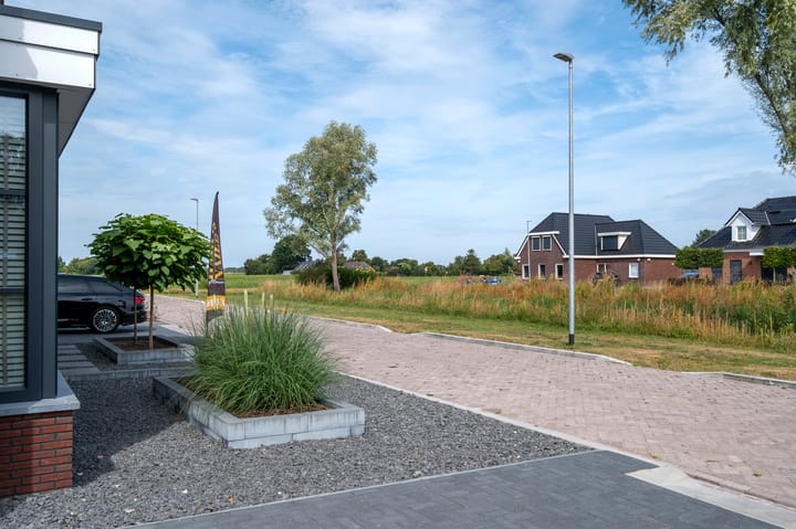 Photo 53 of Meerkoet 3