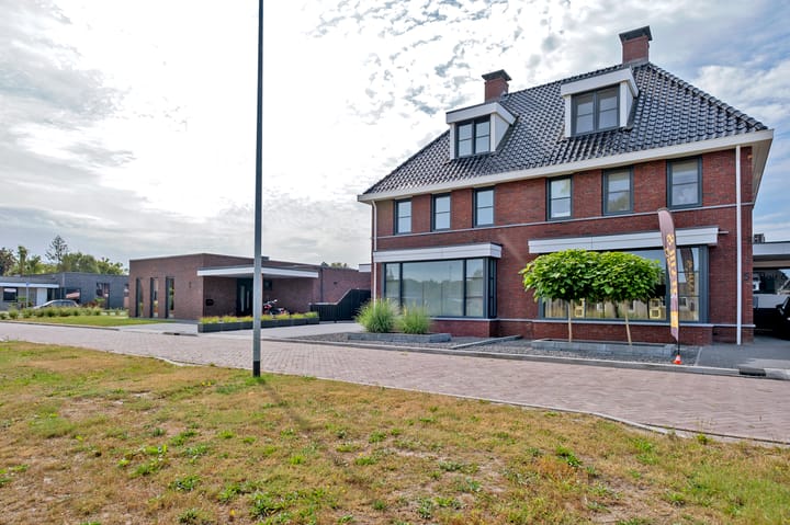 Photo 54 of Meerkoet 3