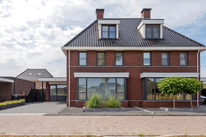 Photo 55 of Meerkoet 3