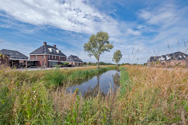 Photo 58 of Meerkoet 3