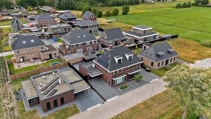 Photo 59 of Meerkoet 3