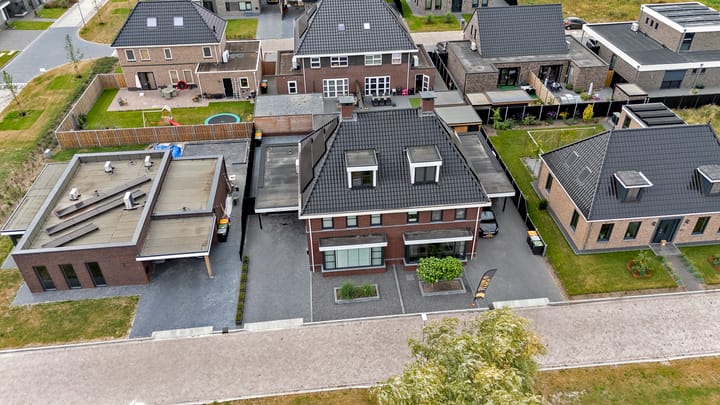 Photo 60 of Meerkoet 3