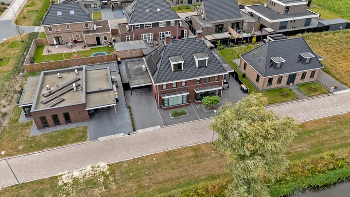 Photo 63 of Meerkoet 3