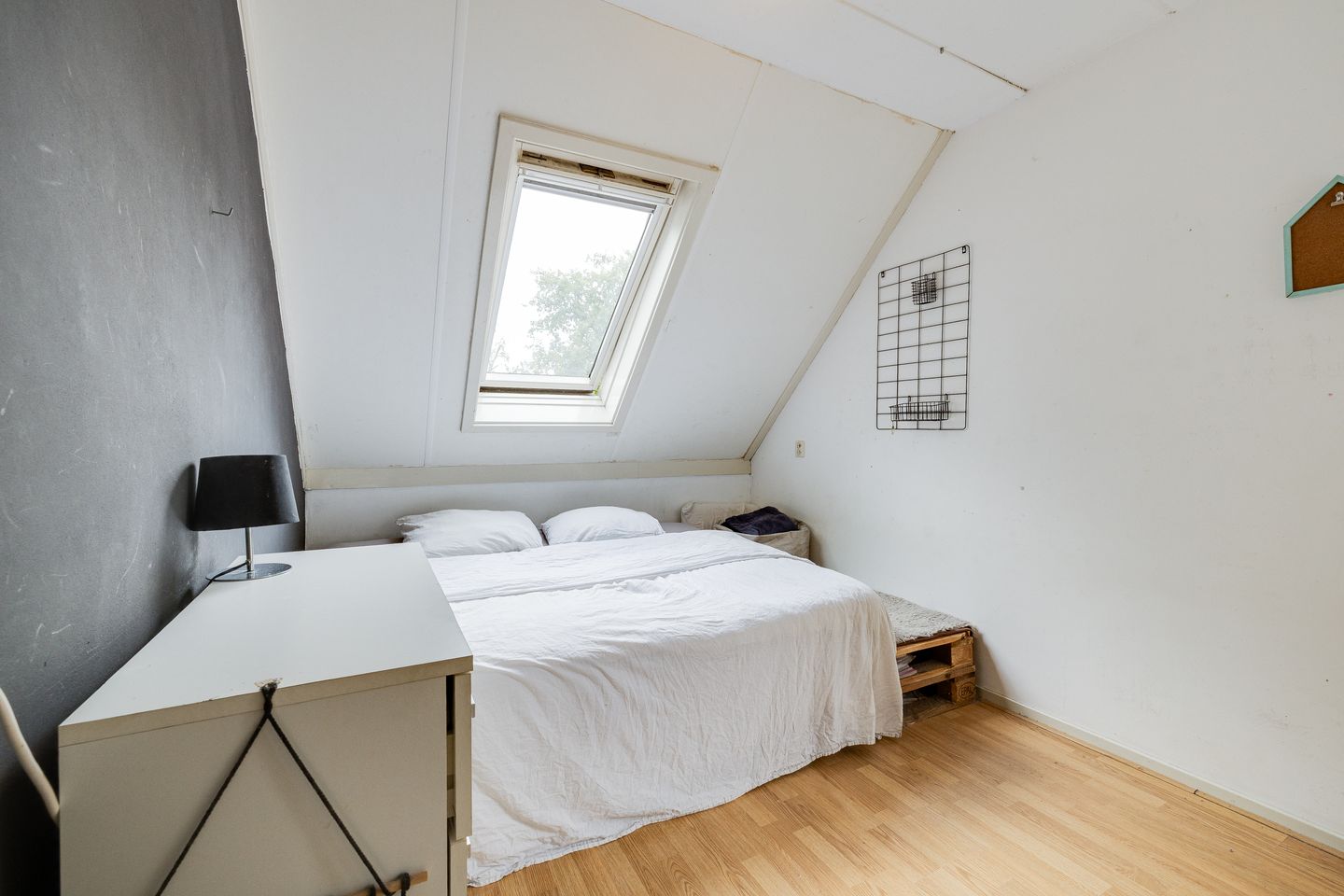 Foto 19 van Korenaar 22