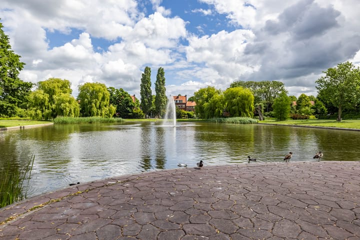 Photo 47 of Tjerk Bolhuisstraat 11