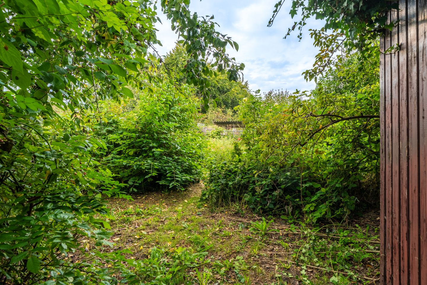 Foto 50 van Garst 19