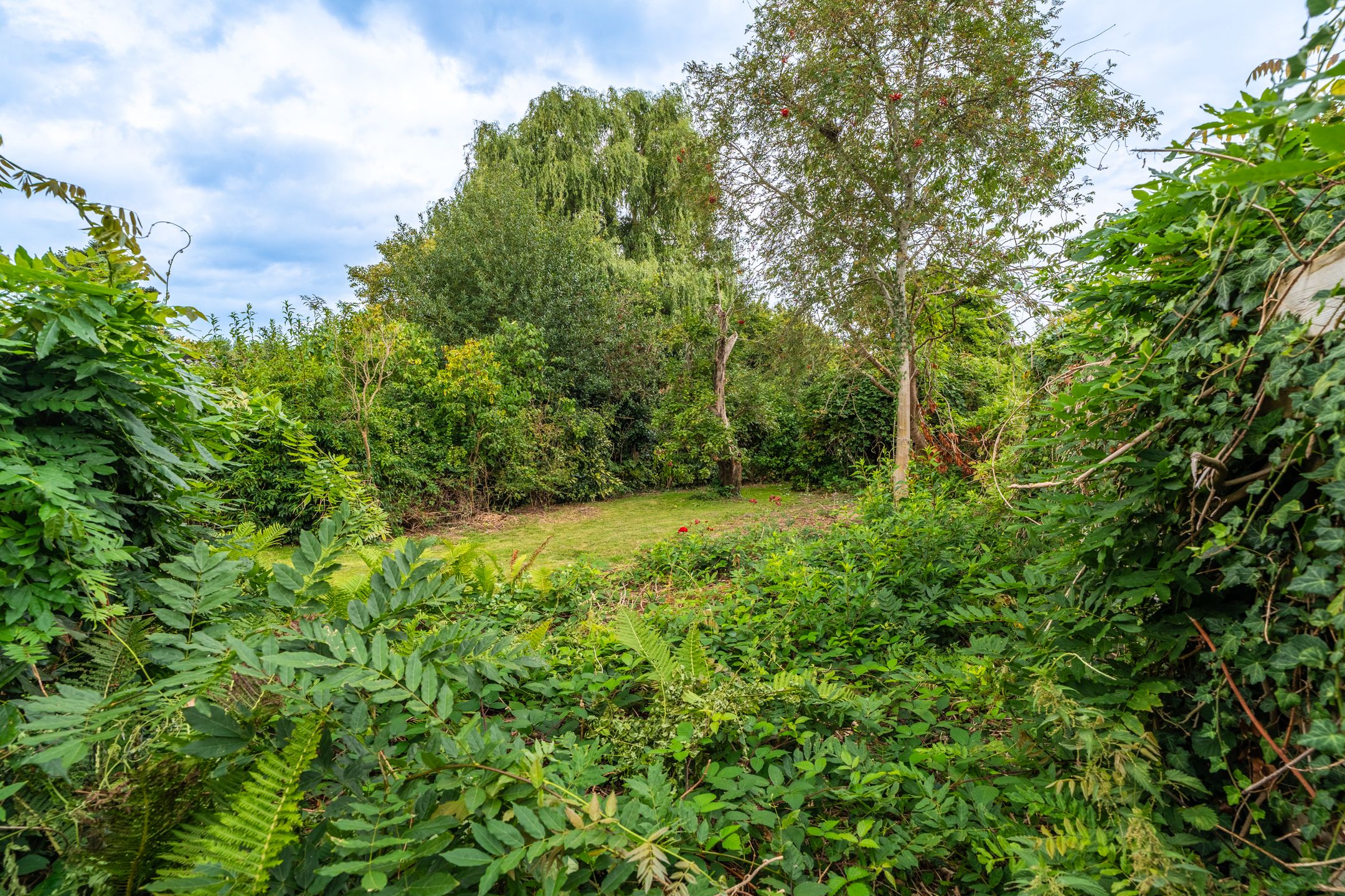 Foto 51 van Garst 19