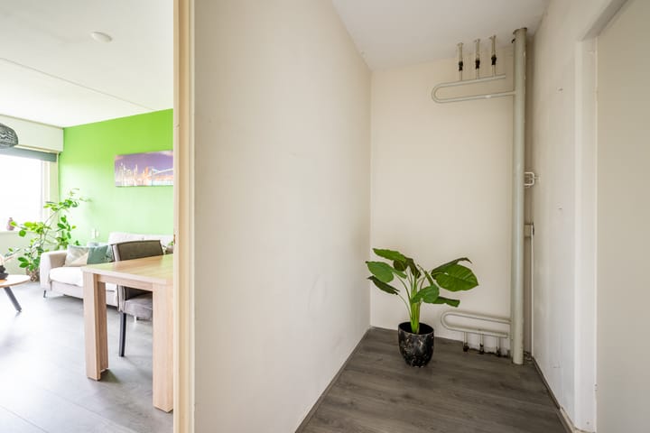 Foto 9 van Boeierstraat 177