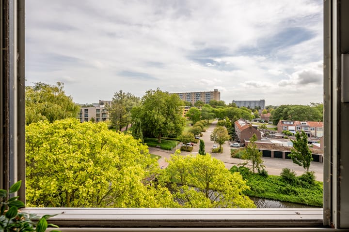 Foto 22 van Boeierstraat 177