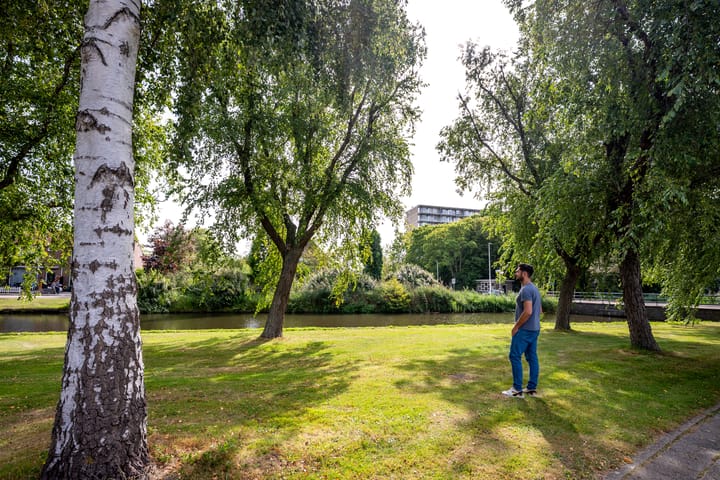 Foto 36 van Boeierstraat 177