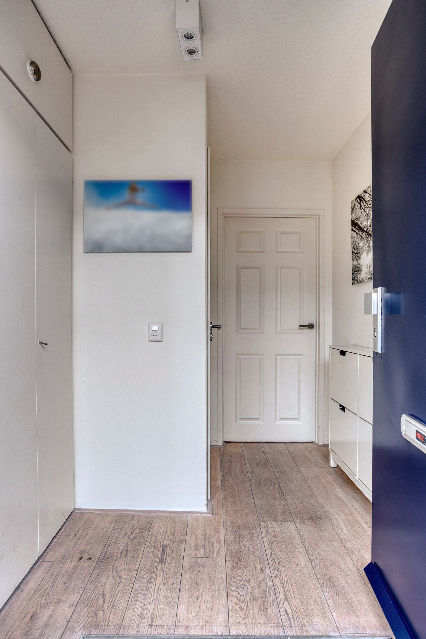 Foto 18 van Kuifvlinder 16