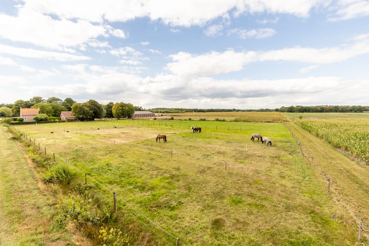 Photo 60 of Pannenhoefsebaan 42