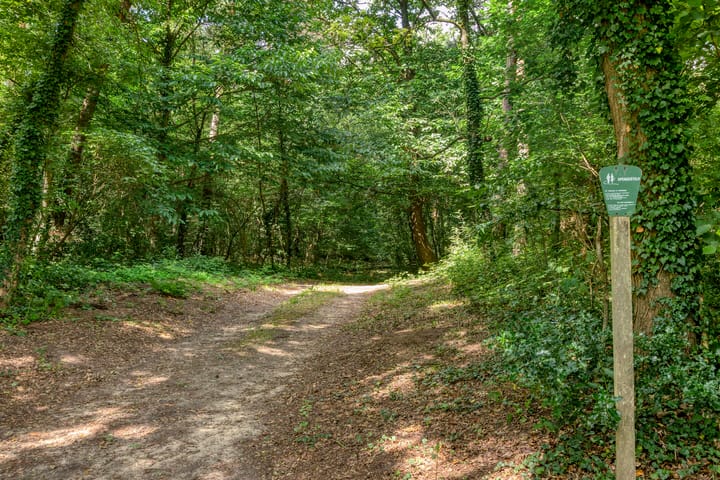 Foto 45 van Stationsweg 95