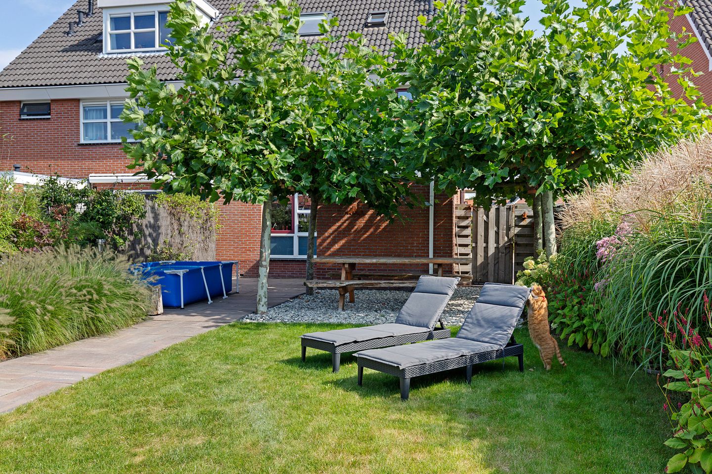 Photo 35 of Dr. W. Dreesstraat 5