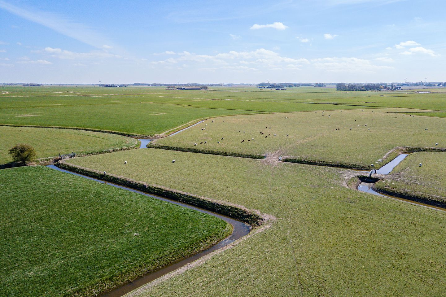 Photo 50 of Dr. W. Dreesstraat 5