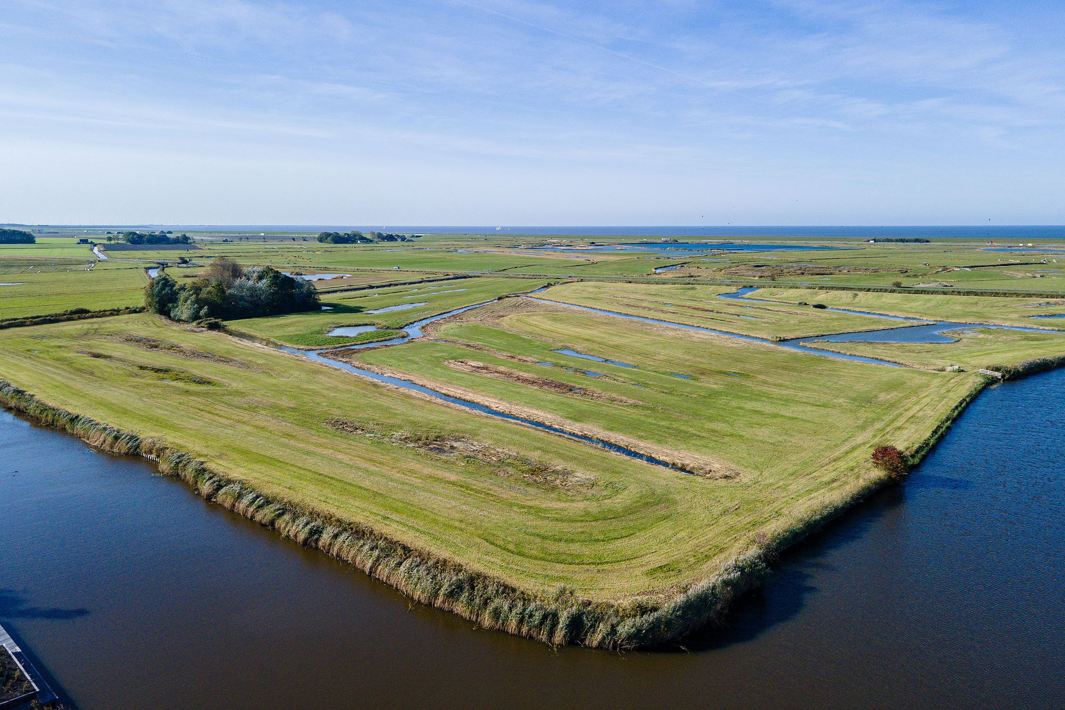 Photo 51 of Dr. W. Dreesstraat 5