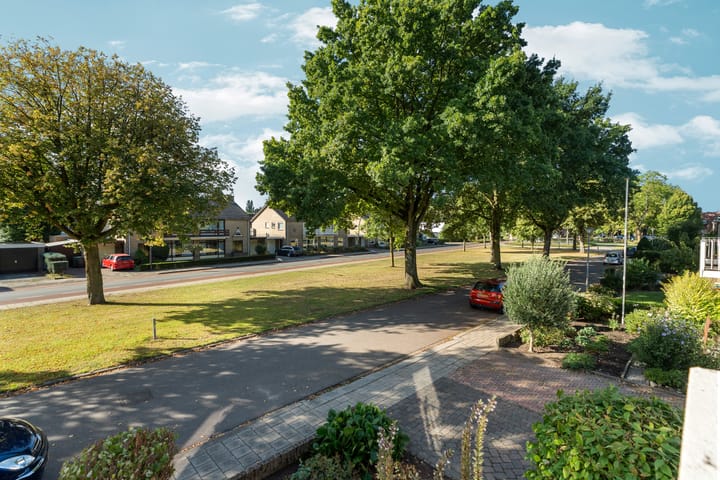 Foto 24 van Vondellaan 101