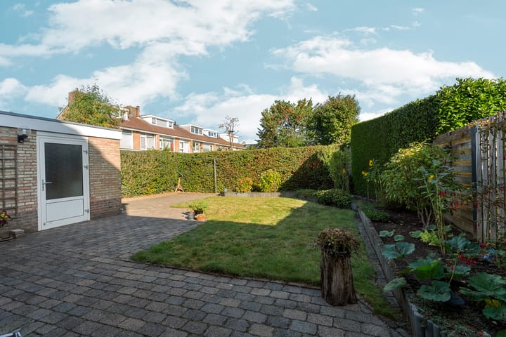 Foto 38 van Vondellaan 101