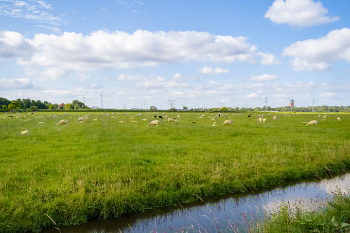 Foto 32 van Bloemendalergouw 43-A