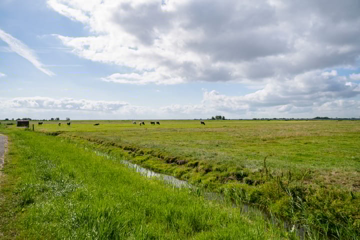 Foto 42 van Bloemendalergouw 43-A