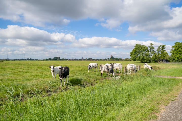 Foto 47 van Bloemendalergouw 43-A