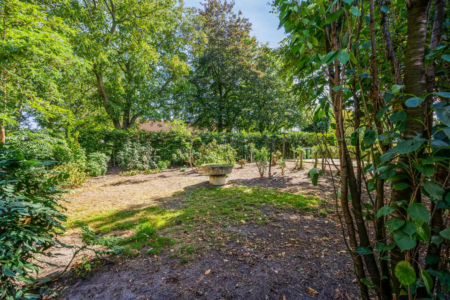 Foto 29 van Groenestraat 8-A