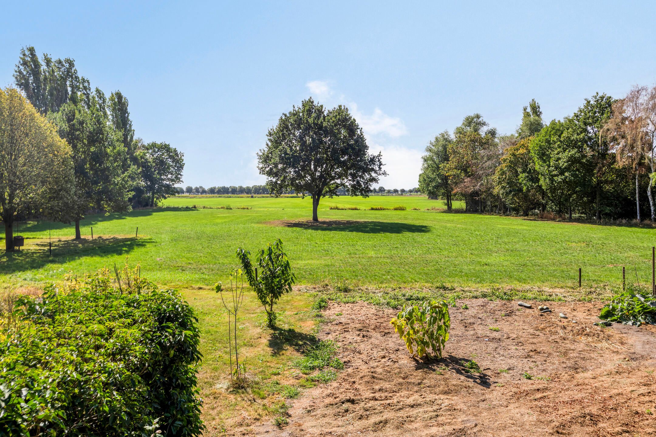 Foto 3 van Groenestraat 8-A