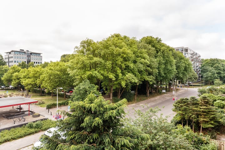 Foto 22 van Ravellaan 75