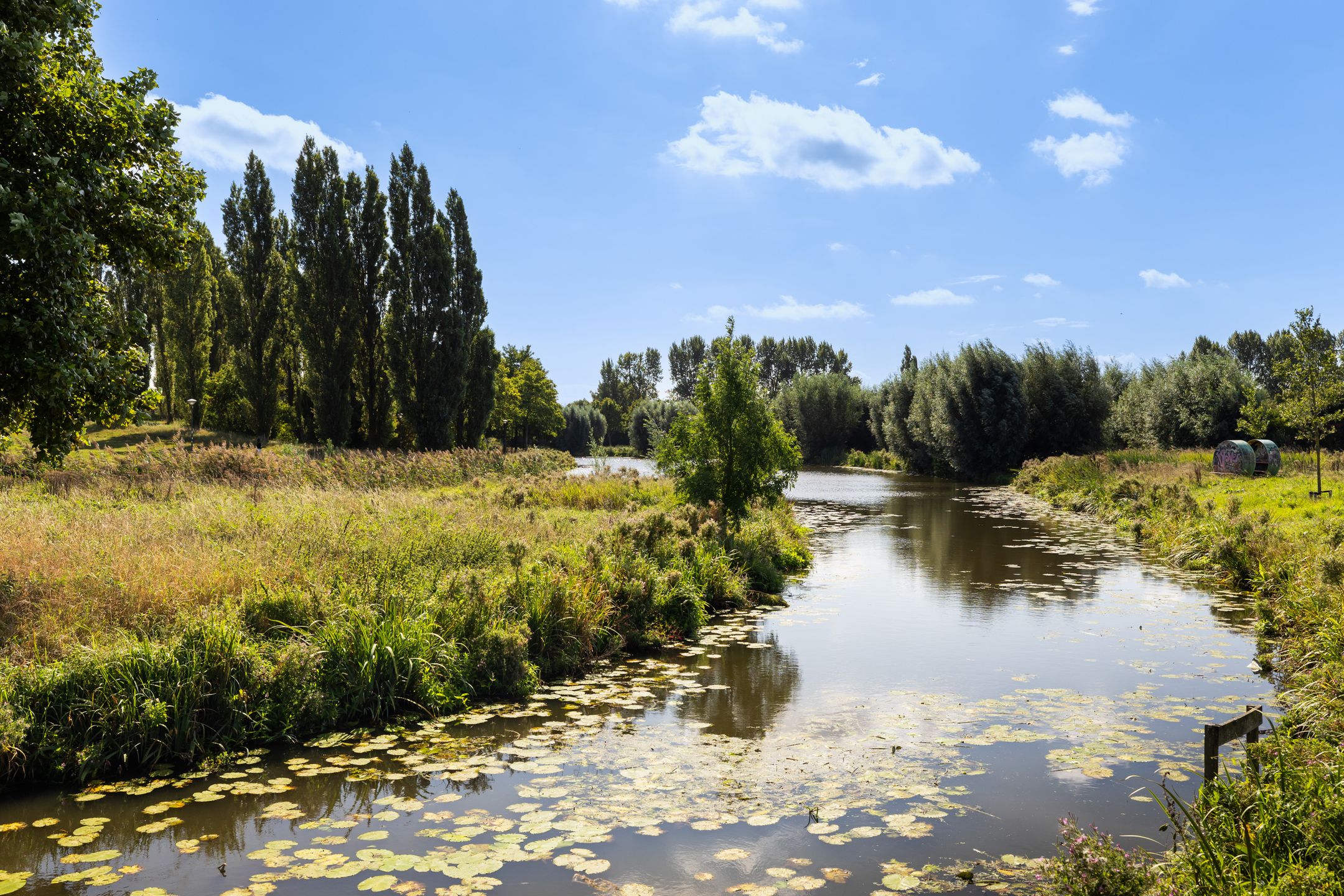 Foto 33 van Gentiaanweide 12