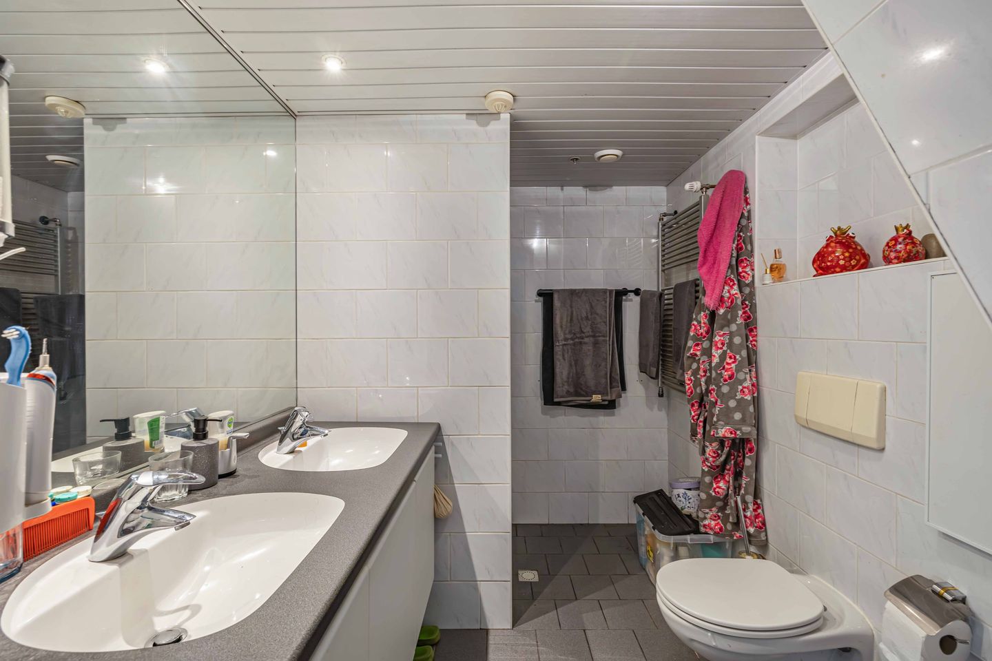 Foto 34 van Eland 35