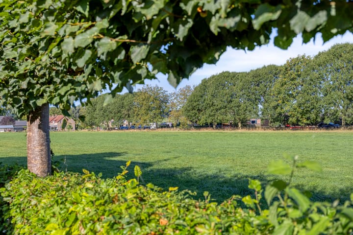 Foto 47 van Klaproosakker 34