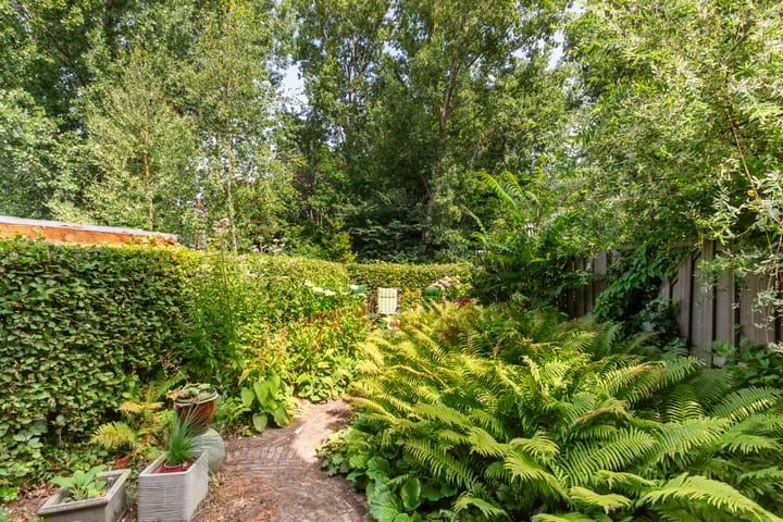 Foto 19 van Zestienhovensekade 181