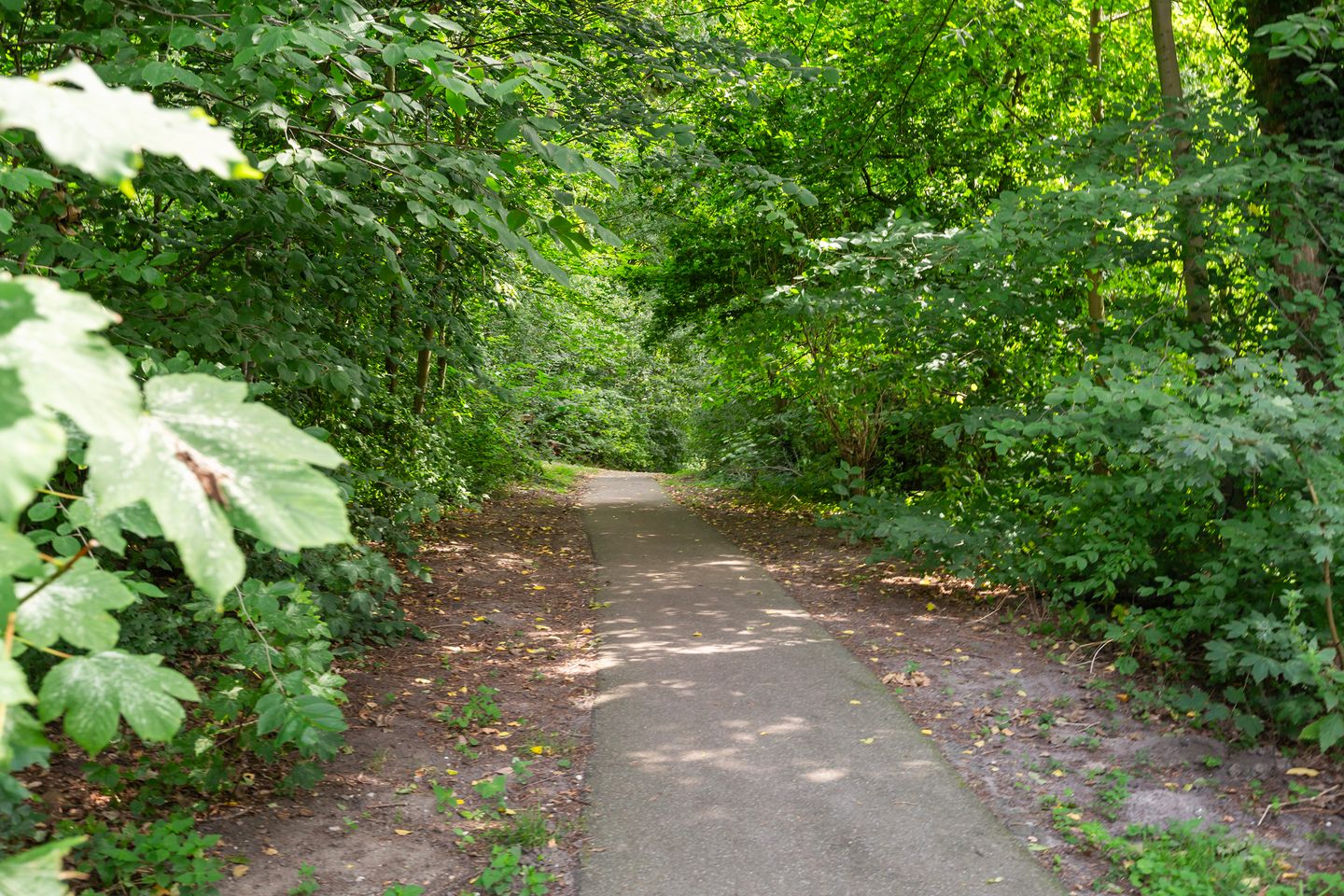 Foto 34 van Zestienhovensekade 181