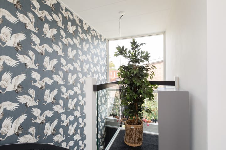 Foto 22 van Zeilstraat 9