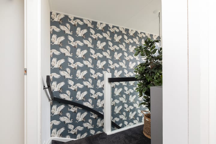 Foto 23 van Zeilstraat 9