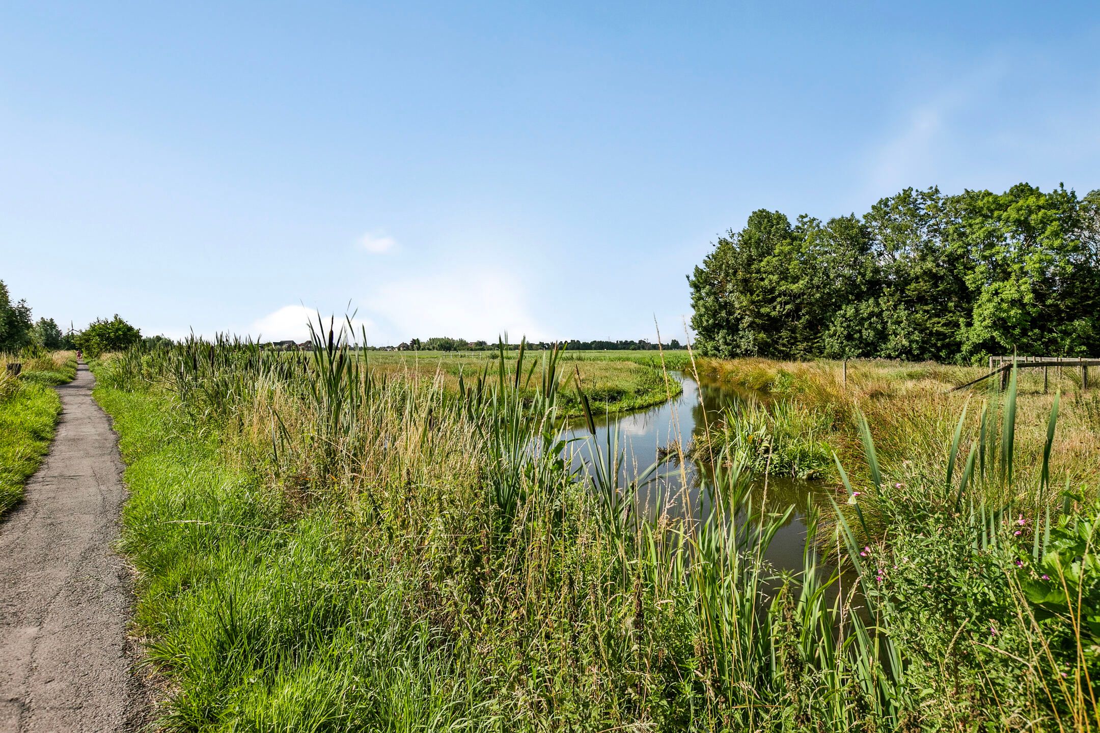 Foto 51 van Hof van Waarder 2