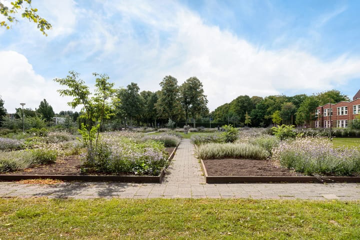 Foto 37 van Dr. H. Colijnstraat 28