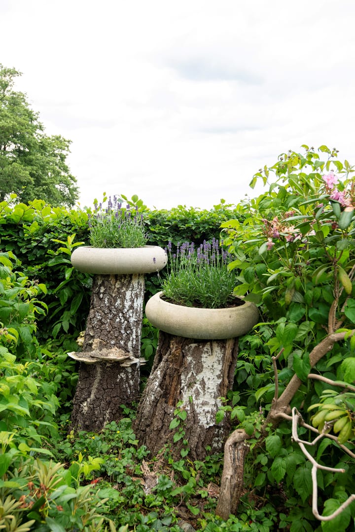 Photo 40 of Stenenkamerseweg 37