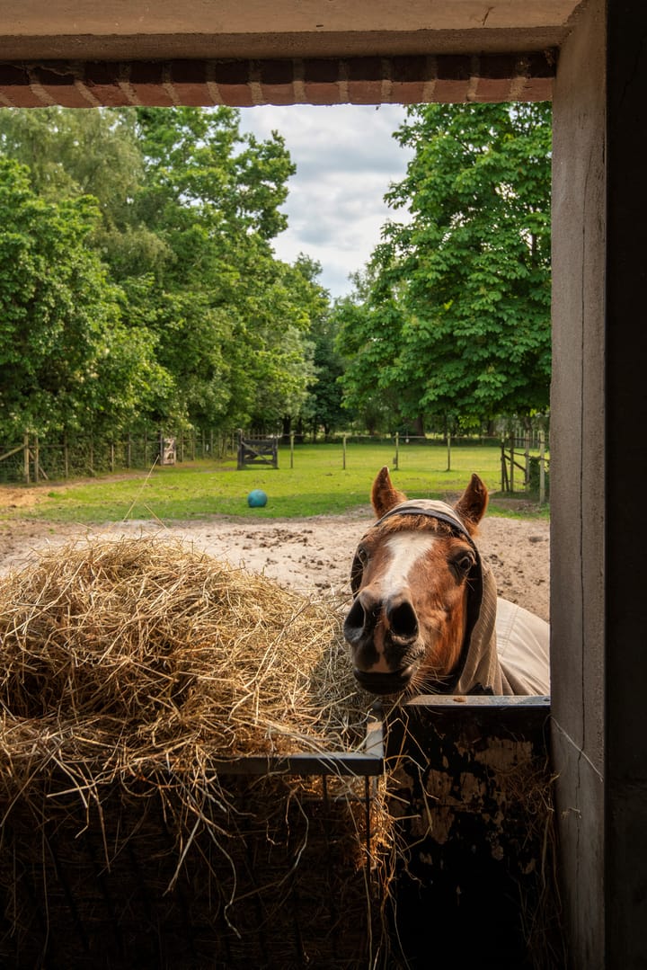 Photo 49 of Stenenkamerseweg 37