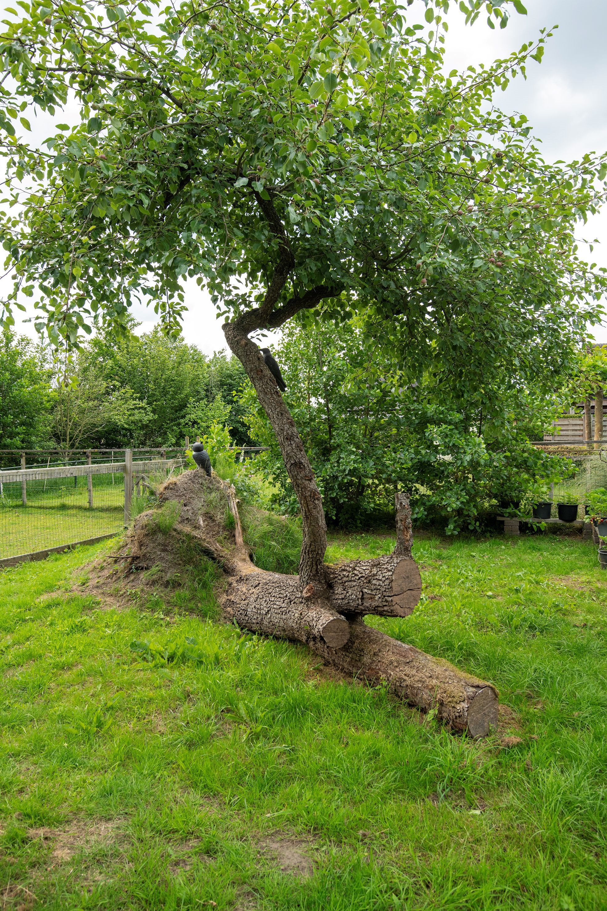 Photo 54 of Stenenkamerseweg 37